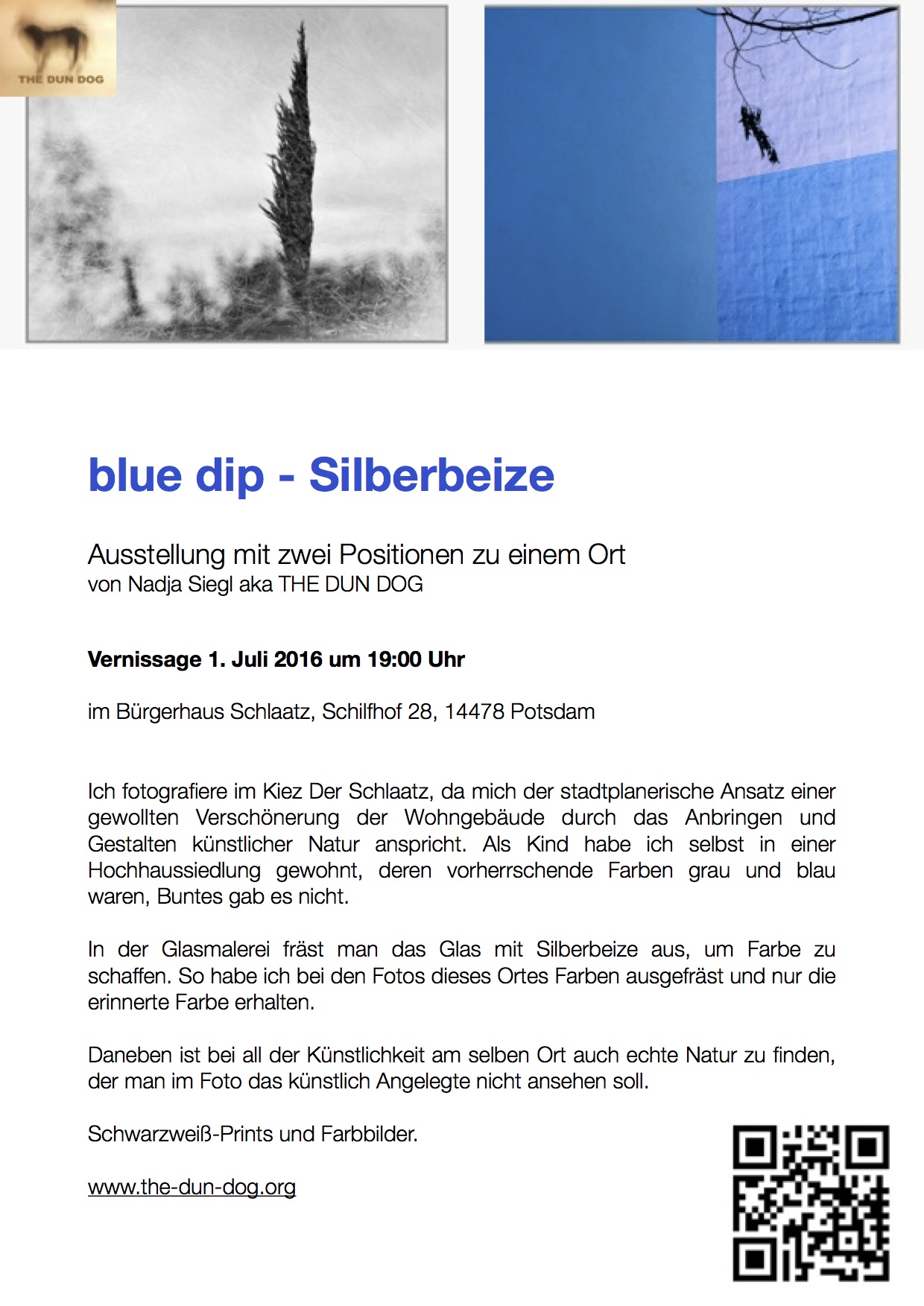 blue dip flyer